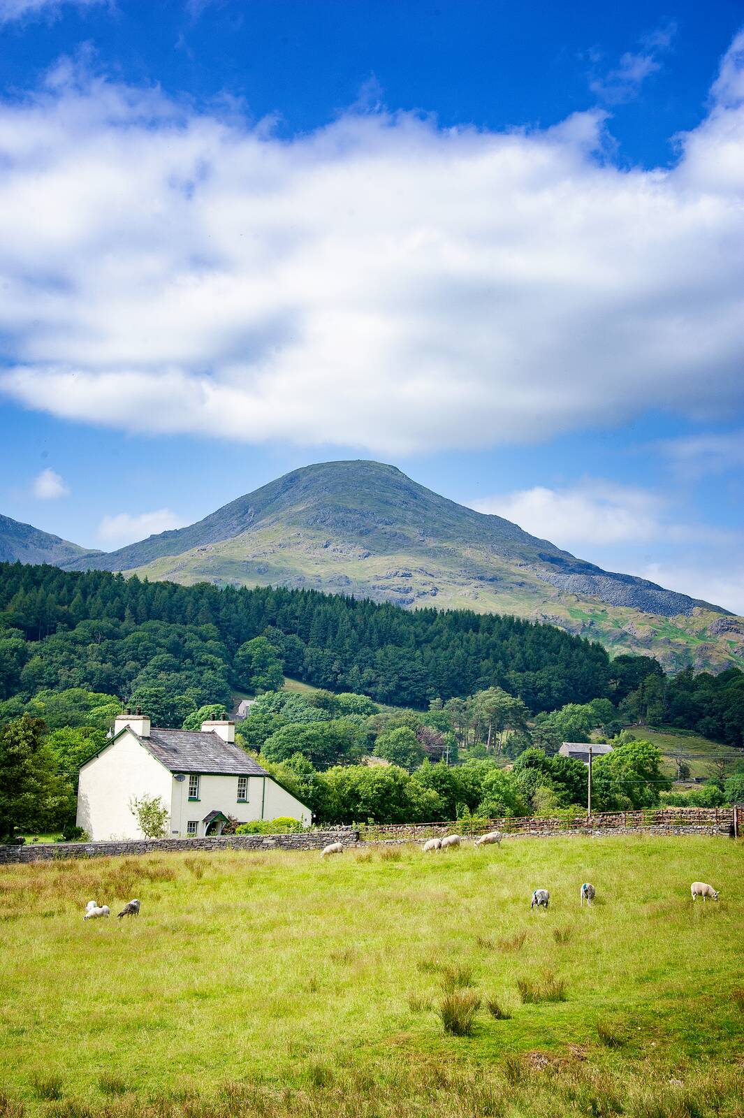 Farmhouse below the Old Man