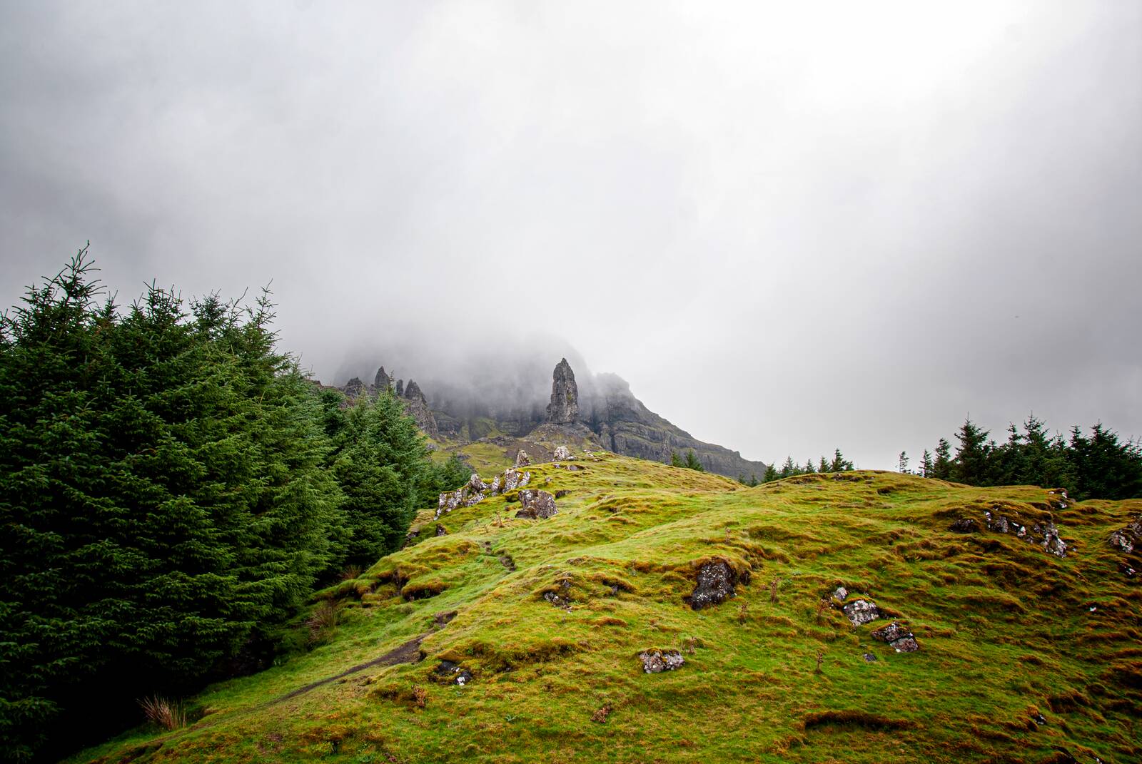 a' choille · the plantation