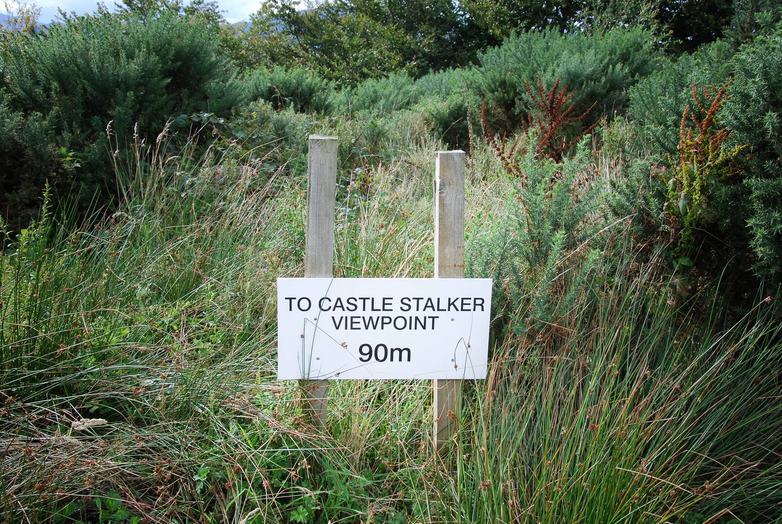 Hand-lettered viewpoint sign in the bushes