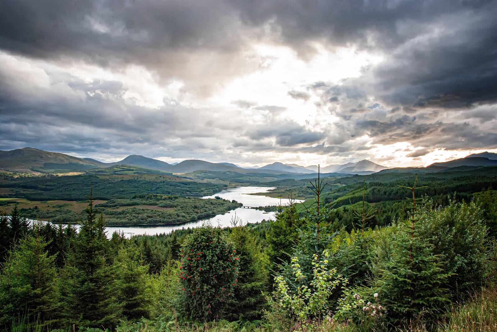 Loch Lochy from the mountainside