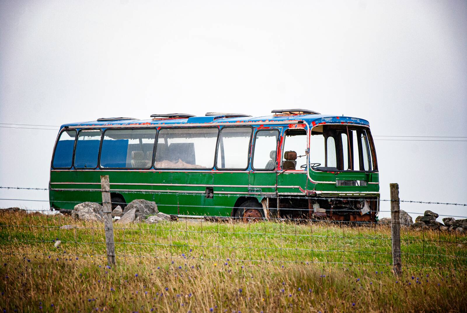 am bus uaine